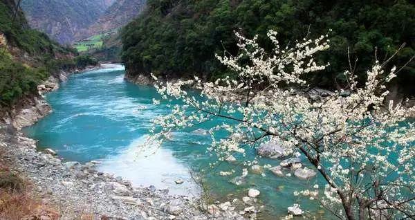 小米蒸煮锅干烧故障