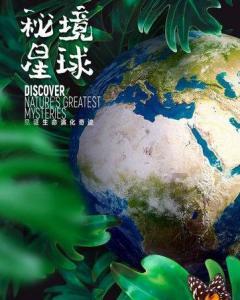 喜报!伊春市教育局获批“黑龙江省普通高中多样化特色化发展示范区”称号
