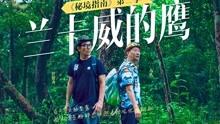 海贼王伟大冒险2