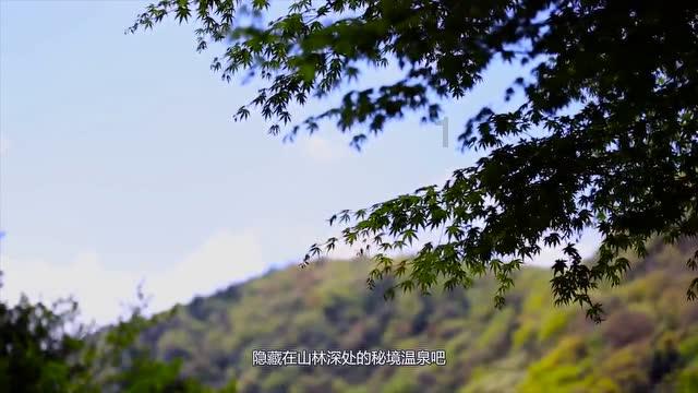 权力与纷争
