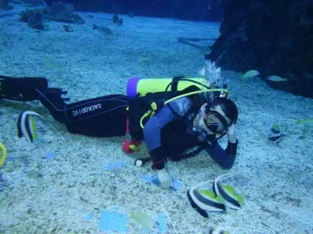 外星人有没有可能只是生活在地球内部的同类呢？地球内部究竟能不能生存吗？游戏画面