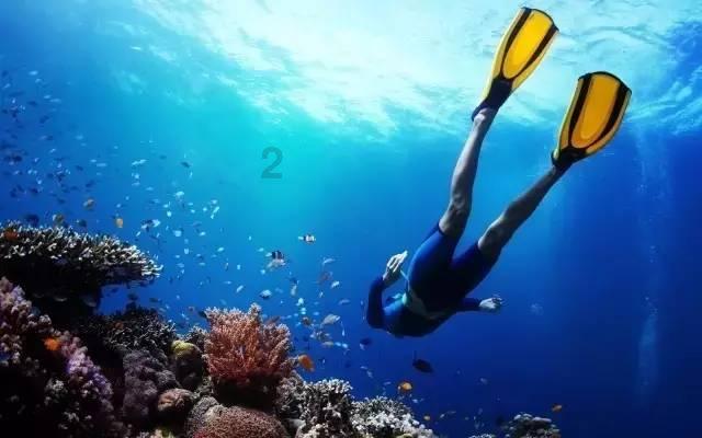 南台元以太水:水中的珍宝你敢想象它的神秘之处吗