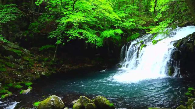 14岁王诗龄在英国公寓露面，李湘送的项链抢镜，两朵小花近值7万
