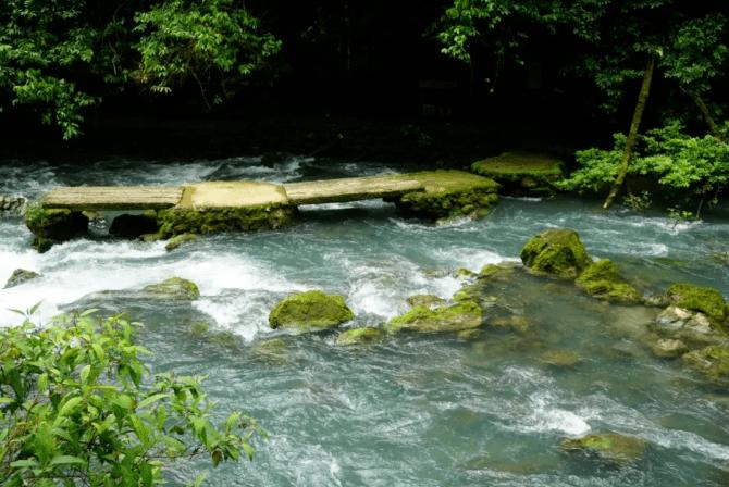 河北故城:村民巧手蒸花馍 金龙送福迎新春